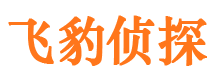 新干侦探公司